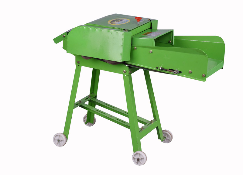 1733282834575354.jpg DSC_4529--2.jpg